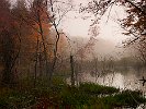 FoggySwamp